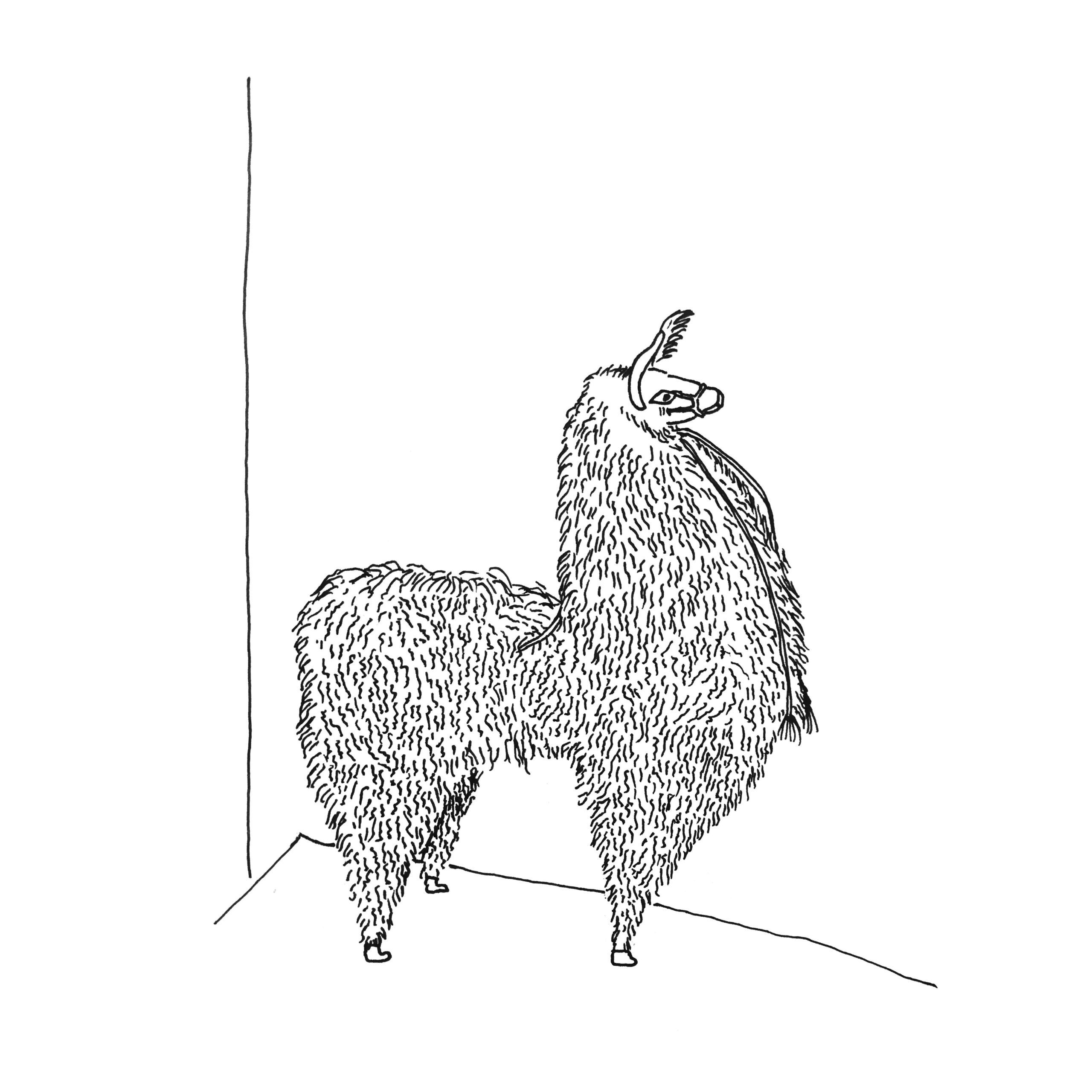 08-12-2018: Hasenheide 69, Berlin